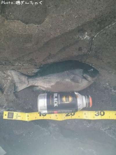 �����᥸��