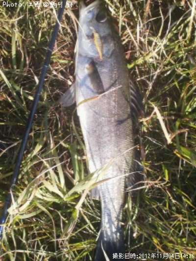 �����Х�