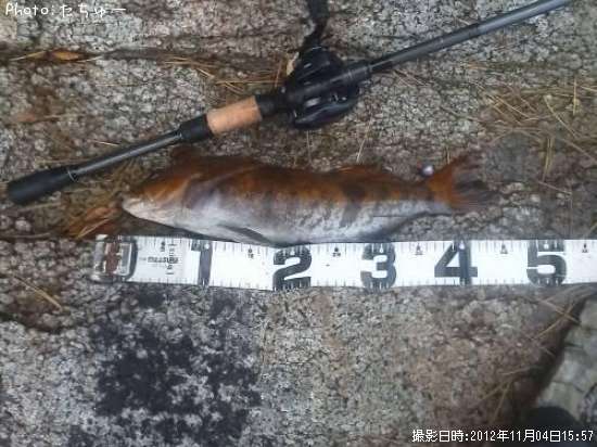 �����ʥ�