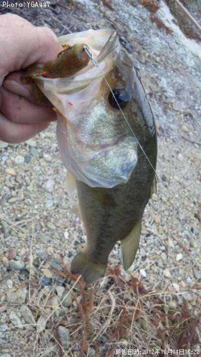 �֥�å��Х�