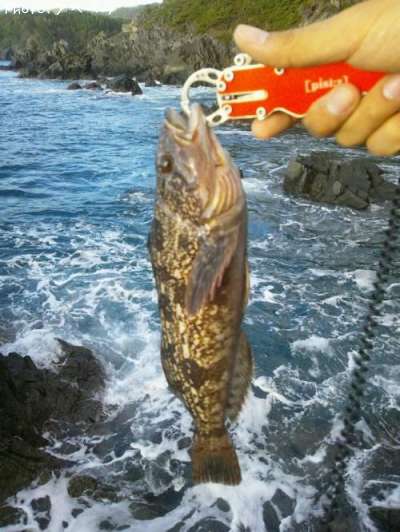 �����ʥ�