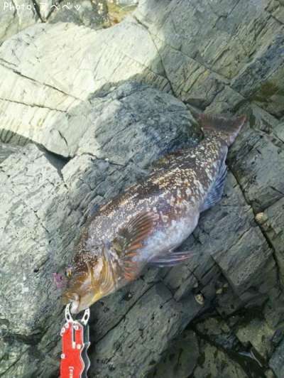 �����ʥ�