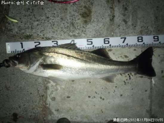 �����Х�