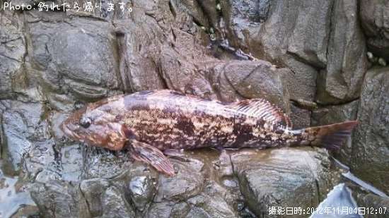 �����ʥ�