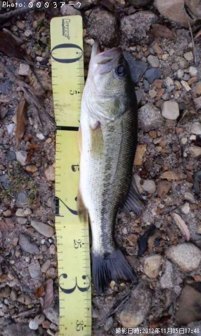 �֥�å��Х�