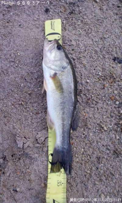 �֥�å��Х�