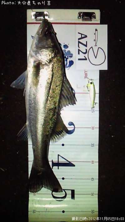 �����Х�