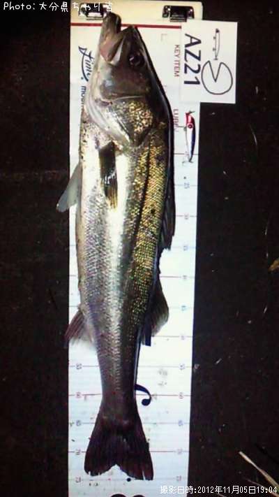 �����Х�