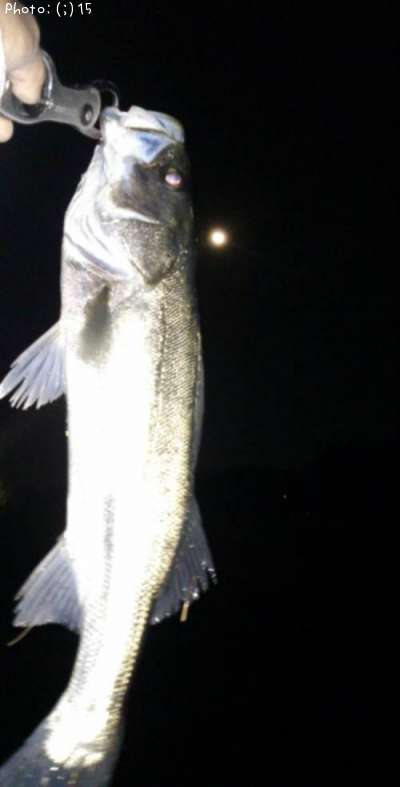 �����Ф�