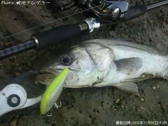 �����Х�