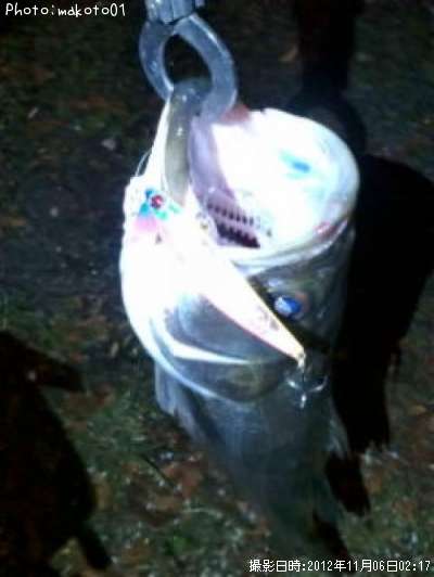 �����Х�