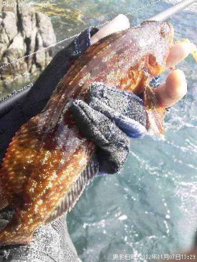 �����ʥ�