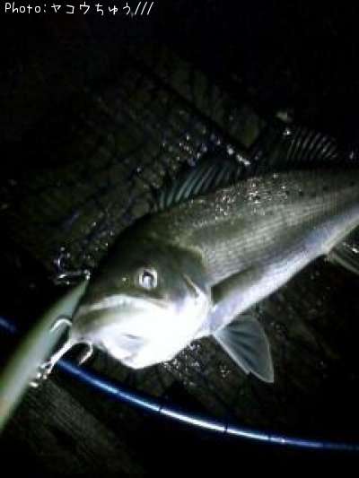 �����Х�