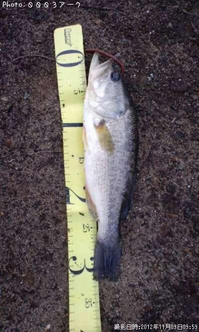 �֥�å��Х�