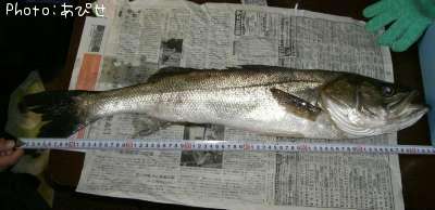 �����Х�