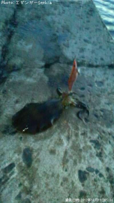 �����ꥤ��