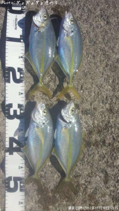 ���ޥ���