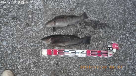 �����ʥ�