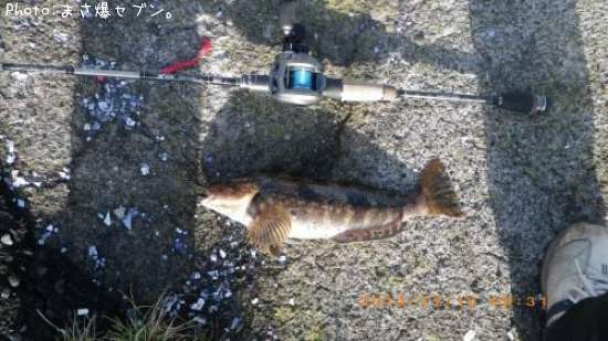 �����ʥ�