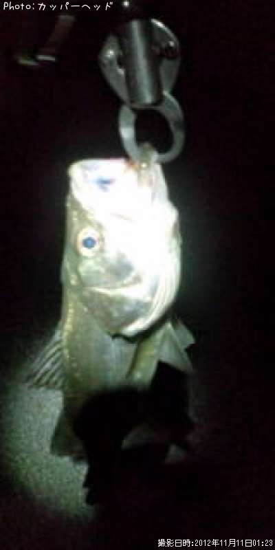 �����Х�