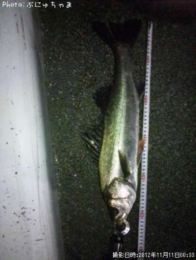 �����Х�