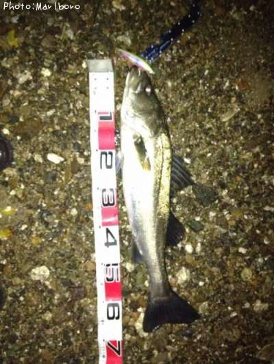 �����Х�