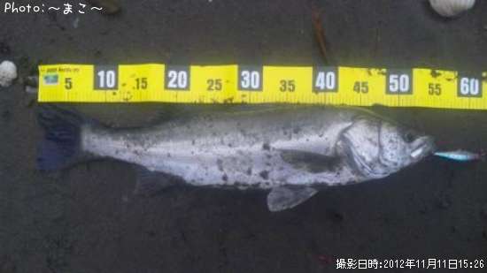 �����Х�