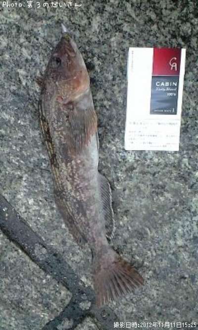 �����ʥ�