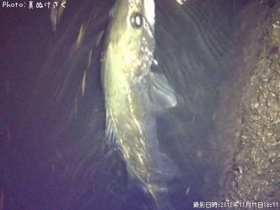 �����Х�