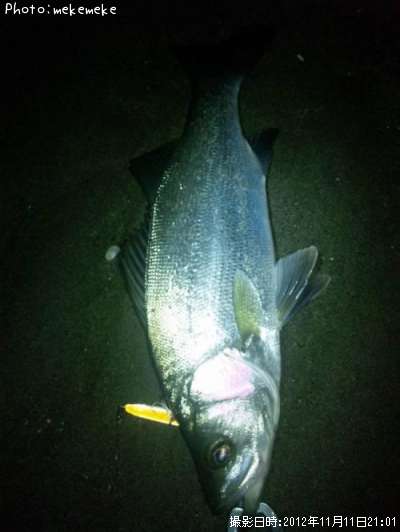 �ҥ饹����