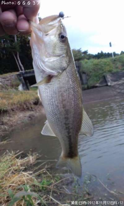 �֥�å��Х�