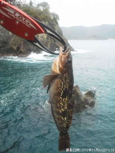 �����ʥ�