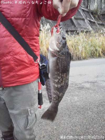 �����ʥ�