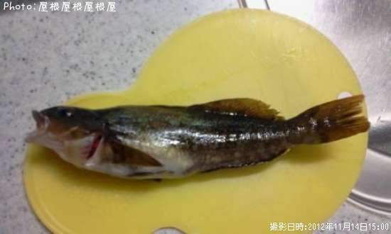 �����ʥ�