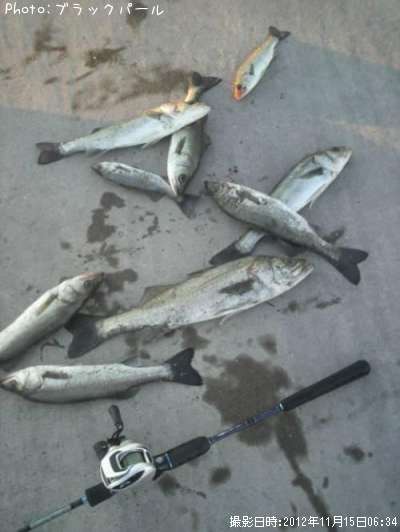 �����Х�