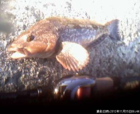 �����ʥ�