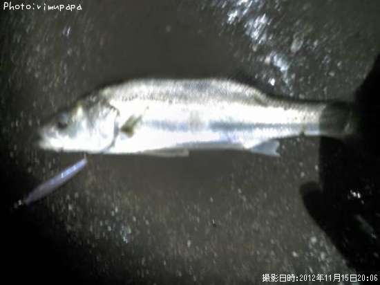 �����Х�