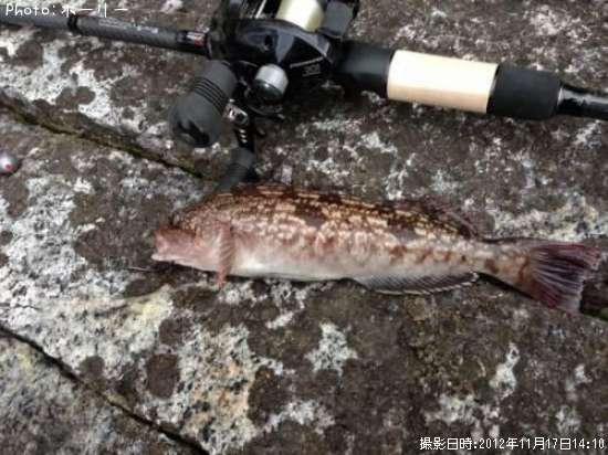 �����ʥ�