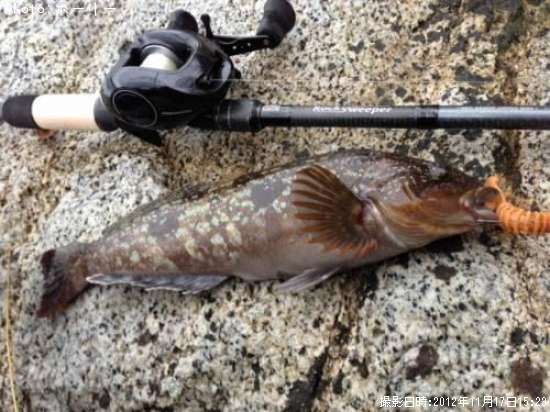 �����ʥ�