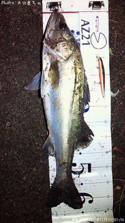 �����Х�