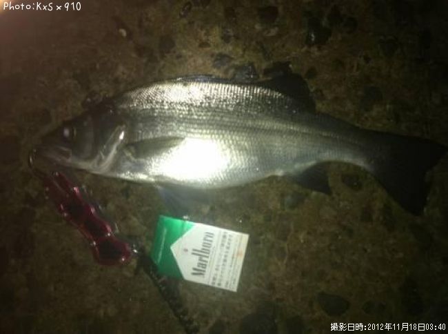 �����Х�