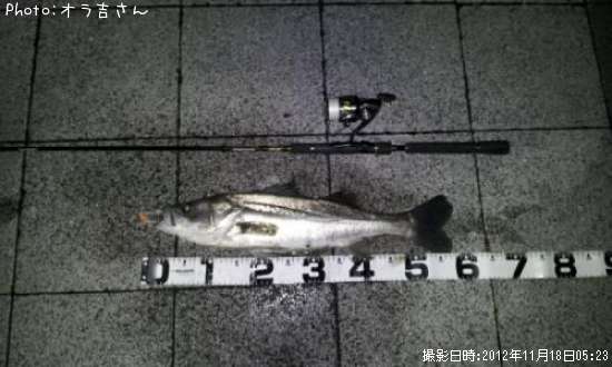 �����Х�