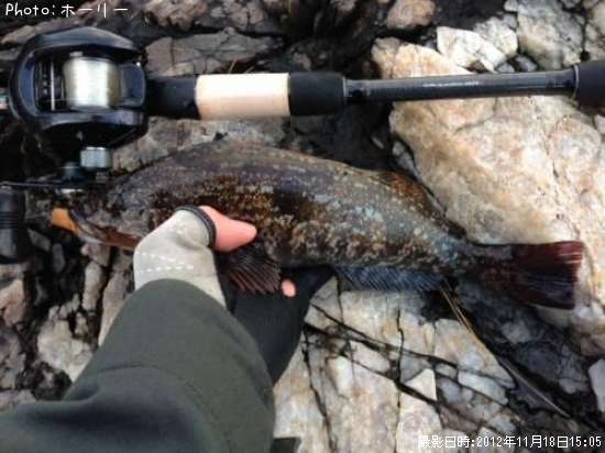 �����ʥ�