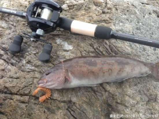 �����ʥ�