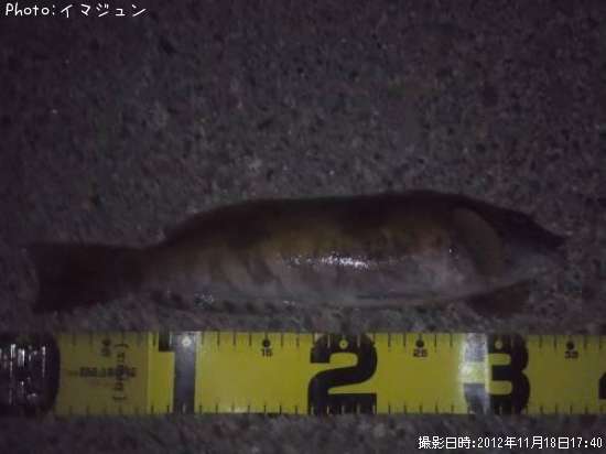 �����ʥ�