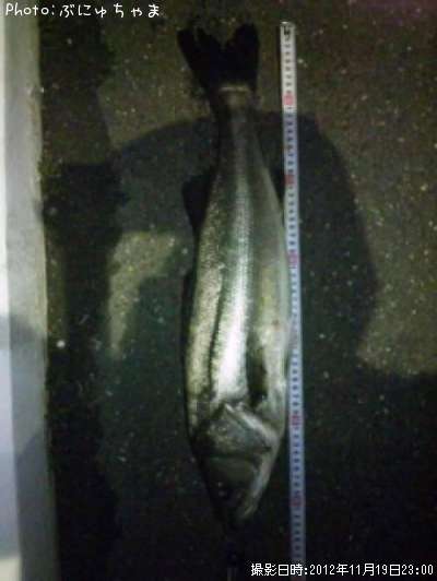 �����Х�