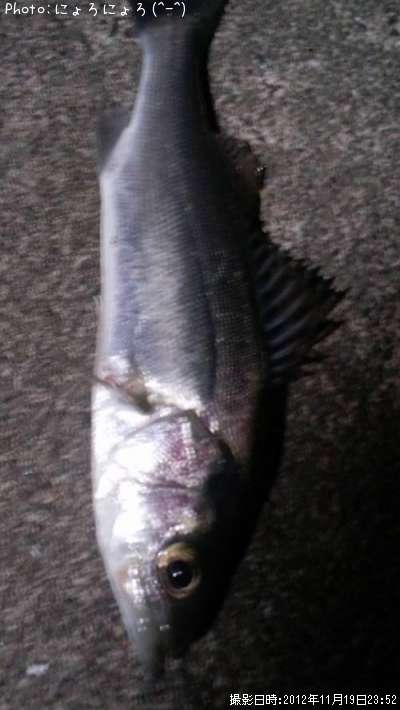 �����Ф���ʡ��١��ˡݡ�