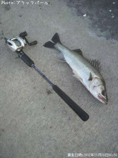 �����Х�