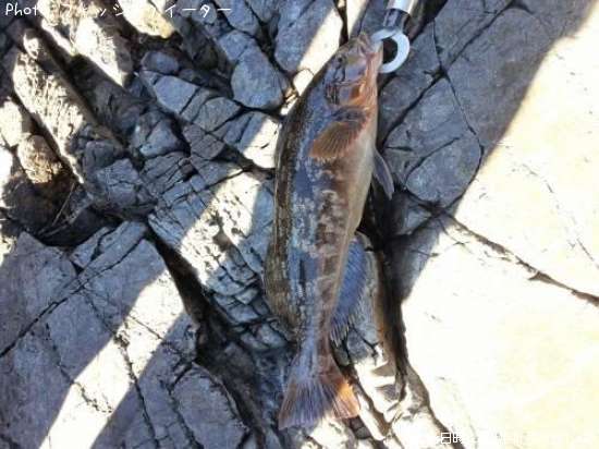 �����ʥ�