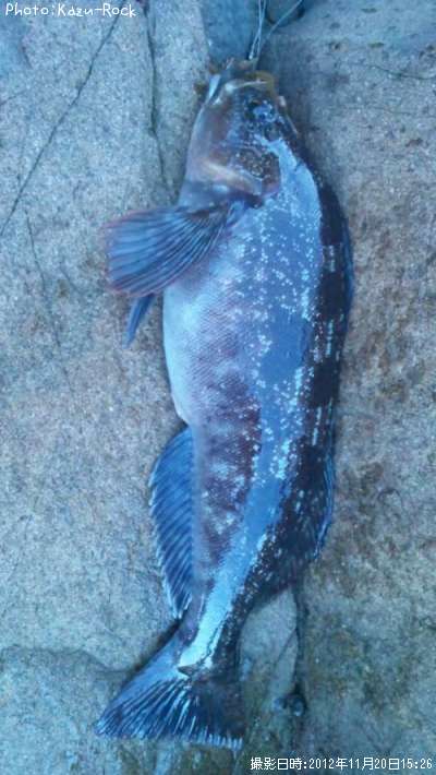 �����ʥ�